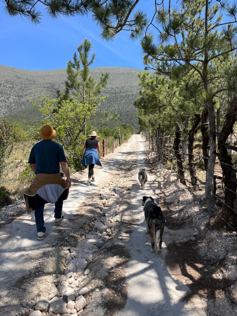 Los Lirios Camping En La Sierra De Arteaga מראה חיצוני תמונה