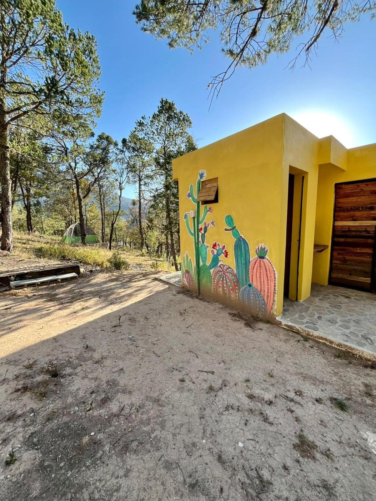 Los Lirios Camping En La Sierra De Arteaga מראה חיצוני תמונה