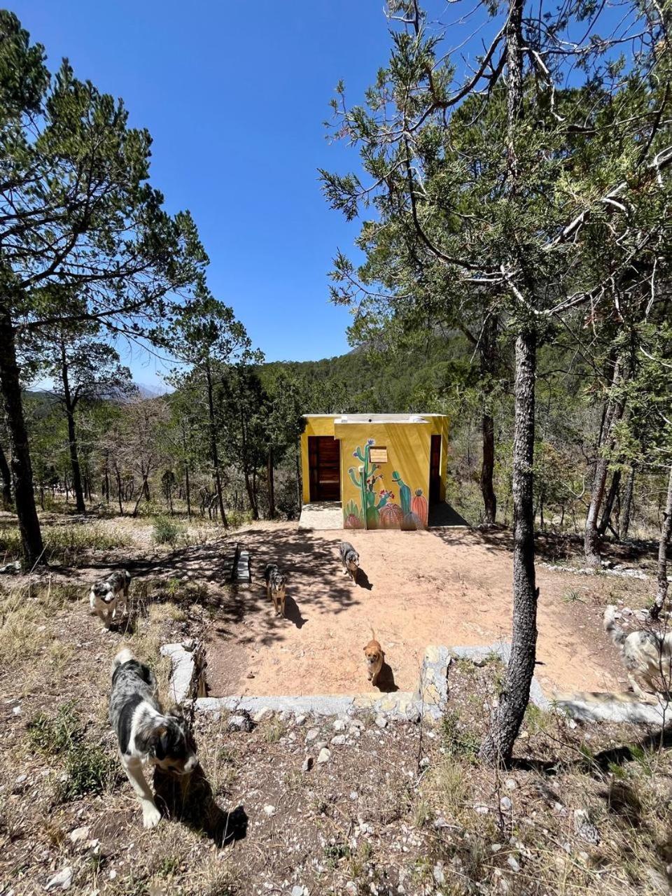 Los Lirios Camping En La Sierra De Arteaga מראה חיצוני תמונה