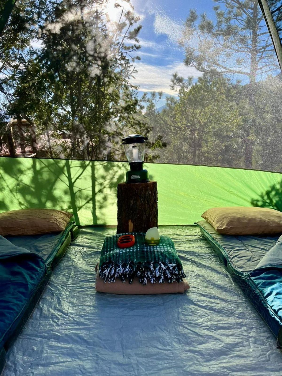 Los Lirios Camping En La Sierra De Arteaga מראה חיצוני תמונה