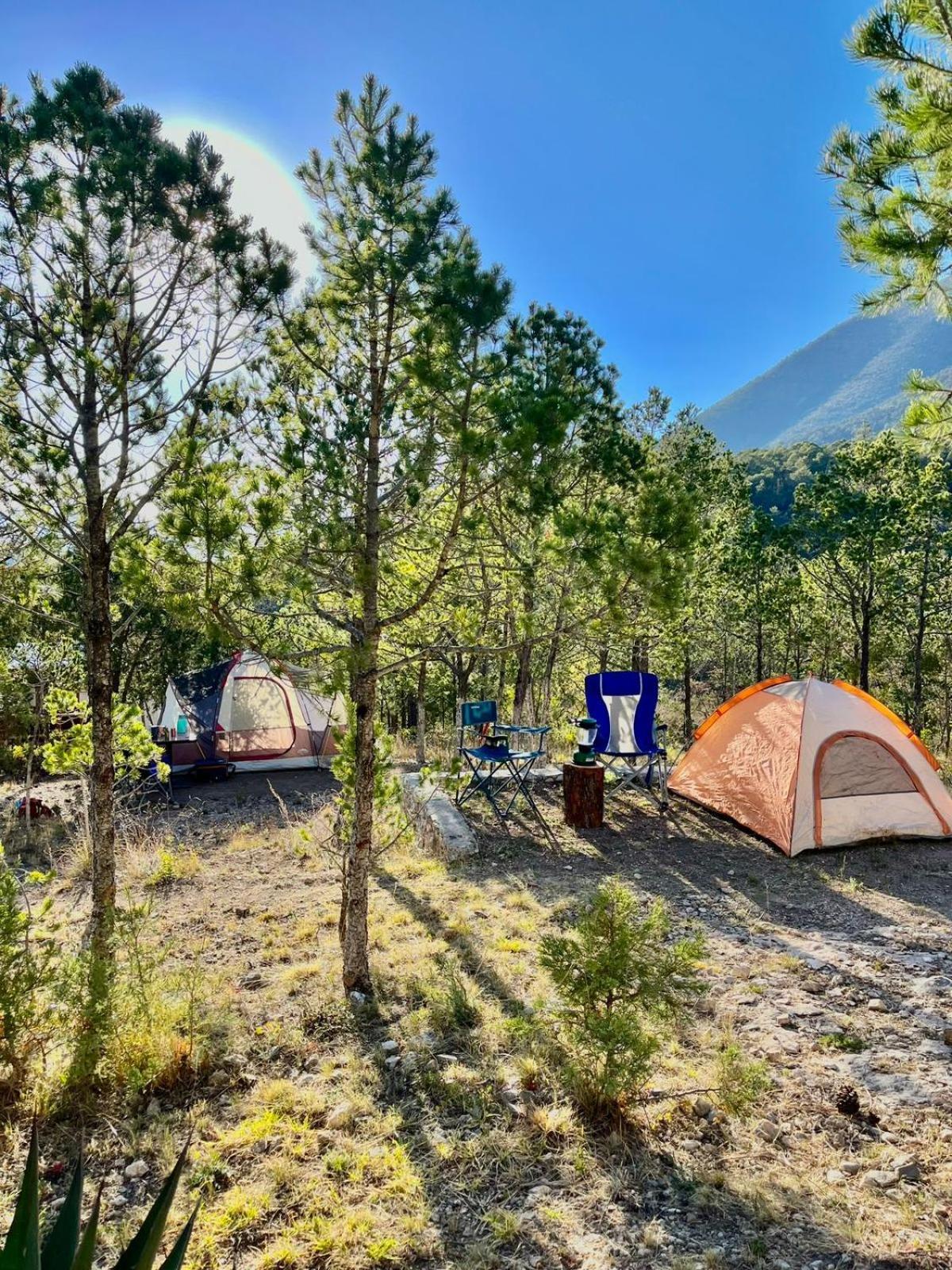 Los Lirios Camping En La Sierra De Arteaga מראה חיצוני תמונה
